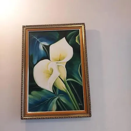 Casa de férias Kitnet 2000